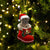 Bullmastiff-In Santa Boot Christmas-Two Sided Ornament